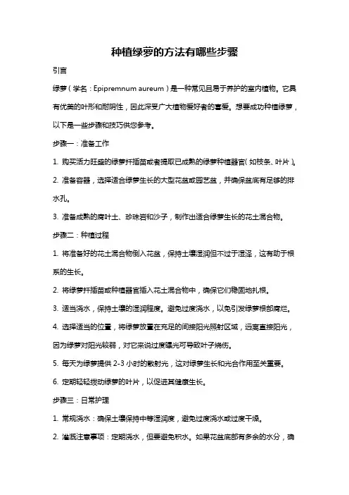 种植绿萝的方法有哪些步骤