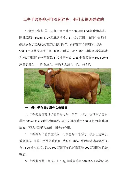 母牛子宫炎症用什么药消炎,是什么原因导致的