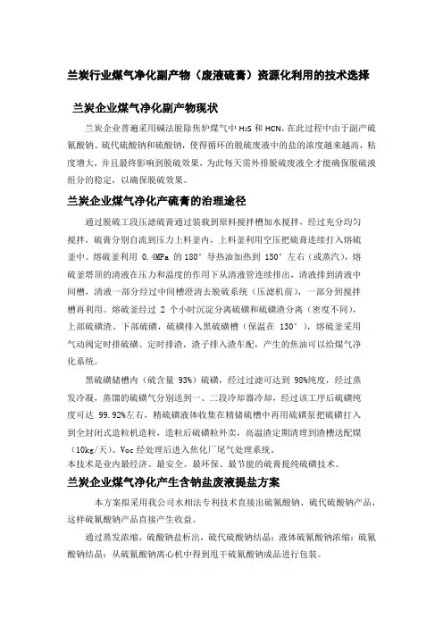 兰炭行业煤气净化副产物(废液硫膏)资源化利用的技术选择(1)