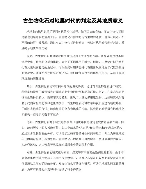 古生物化石对地层时代的判定及其地质意义