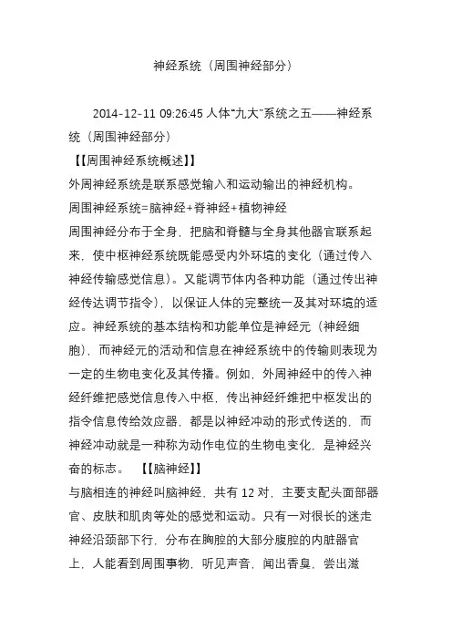 神经系统(周围神经部分)
