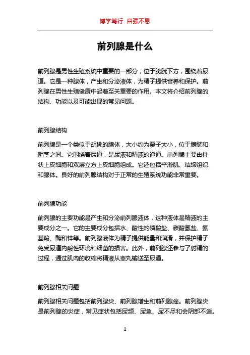 前列腺是什么