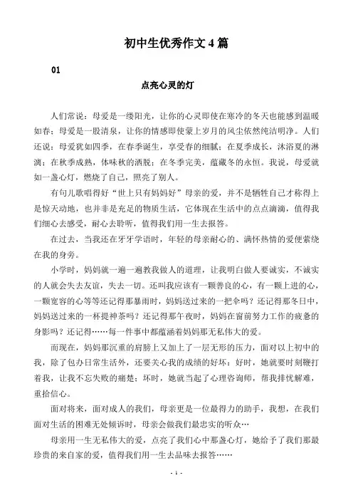 初中生优秀作文《点亮心灵的灯》(4篇)