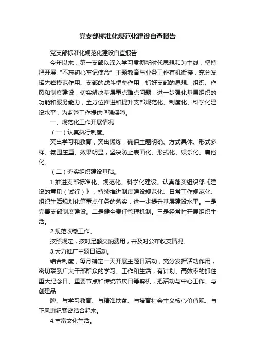 党支部标准化规范化建设自查报告