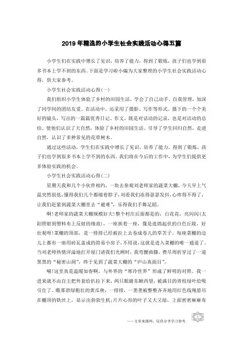 2019年精选的小学生社会实践活动心得五篇