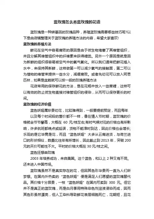蓝玫瑰怎么养蓝玫瑰的花语