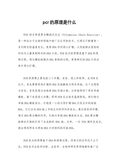 pcr的原理是什么