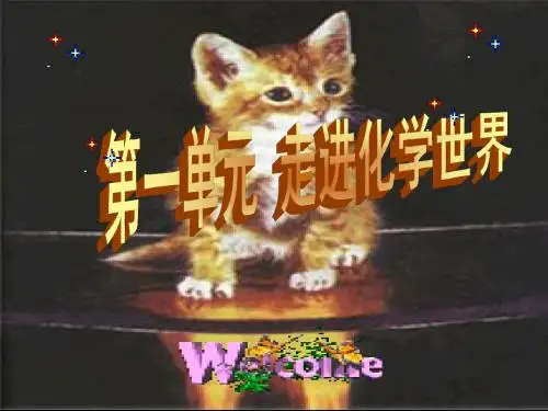 《物质的变化和性质》PPT课件