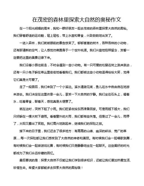 在茂密的森林里探索大自然的奥秘作文