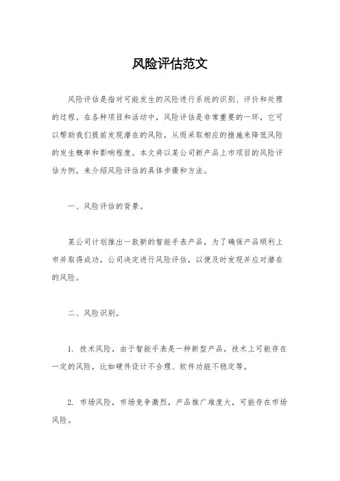 风险评估范文