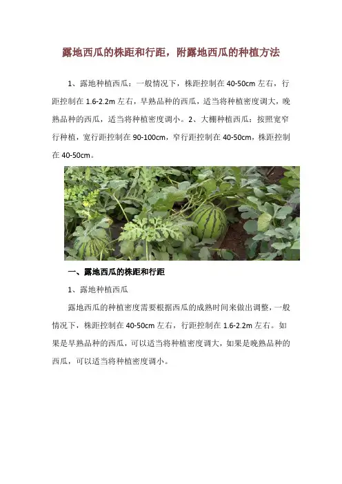 露地西瓜的株距和行距,附露地西瓜的种植方法