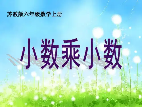 苏教版六年级数学上册《小数乘小数》课件(定稿)