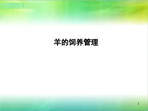 羊饲养管理技术ppt课件
