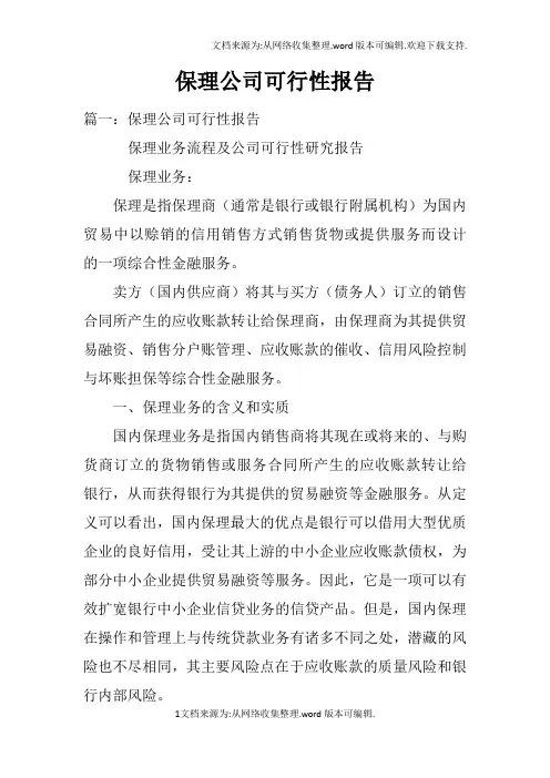 保理公司可行性报告doc