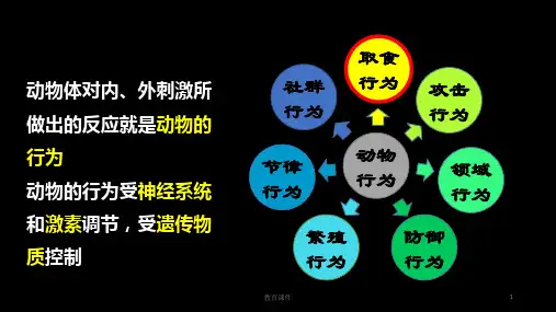 4动物行为的主要类型
