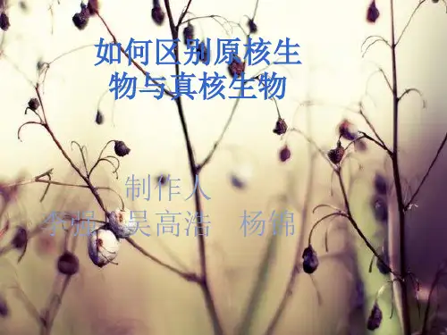 如何区别原核生物与真核生物