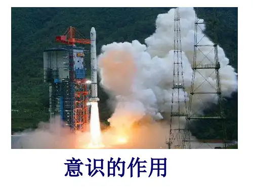 哲学5-2意识的作用