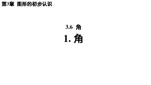 3.61 角 华东师大版(2024)数学七年级上册课件