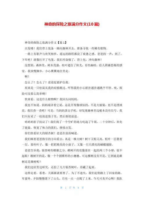 神奇的探险之旅满分作文(10篇)
