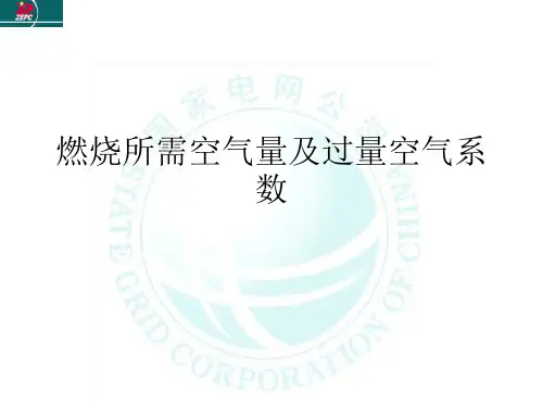 燃烧所需空气量及过量空气系数.ppt