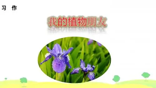 习作 我的植物朋友 课件(10张ppt)