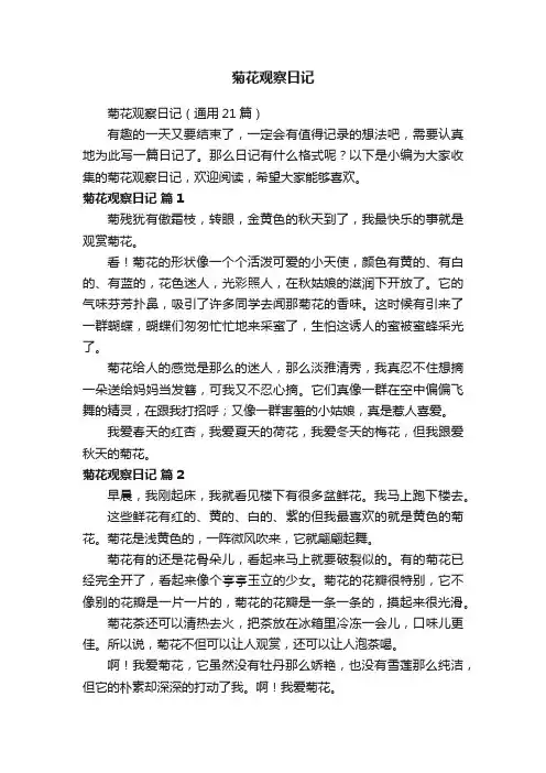 菊花观察日记（通用21篇）