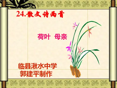 七年级语文上册 第五单元第24课《荷叶·母亲》教学课件 人教新课标版