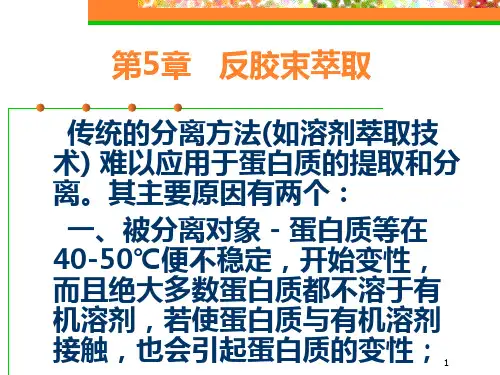 反胶束萃取