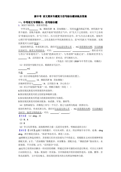 新中考 语文期末专题复习仿写综合题训练及答案