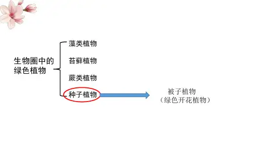 花的结构和类型课件济南版生物八年级上册