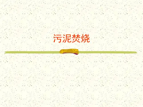 污泥焚烧PPT课件