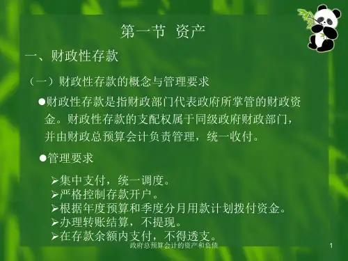 政府总预算会计的资产和负债课件