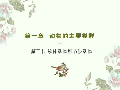 初中生物-软体动物和节肢动物