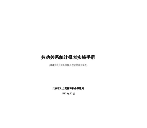 劳动和社会保障统计报表实施手册(2012)