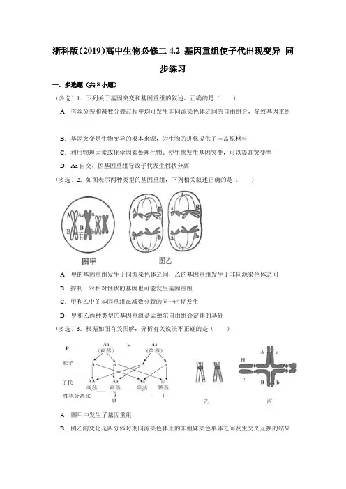 必修2《遗传与进化》 第4章 4.2 基因重组使子代出现变异 同步练习 (1)