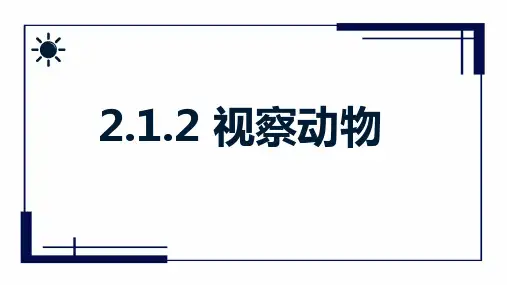 2.观察动物(PPT课件(初中科学)28张)