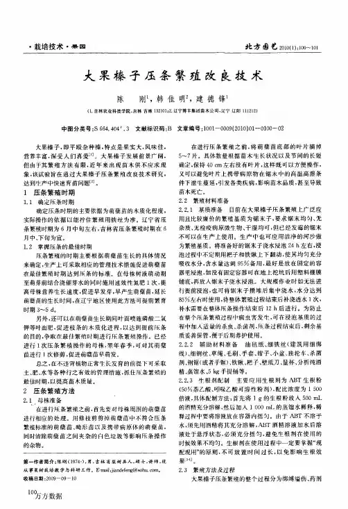 大果榛子压条繁殖改良技术