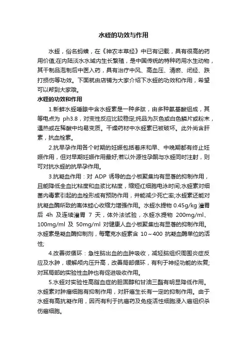 水蛭的功效与作用