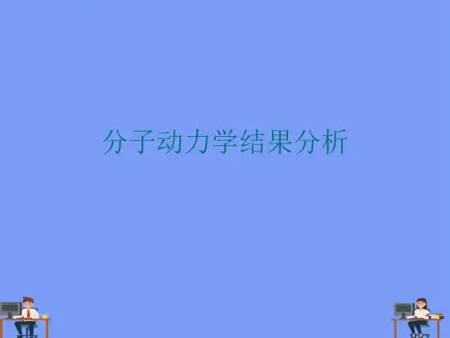 分子动力学结果分析.完美版PPT