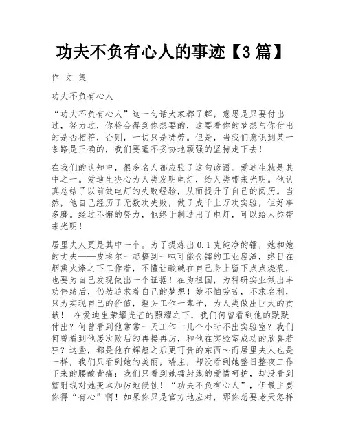 功夫不负有心人的事迹【3篇】