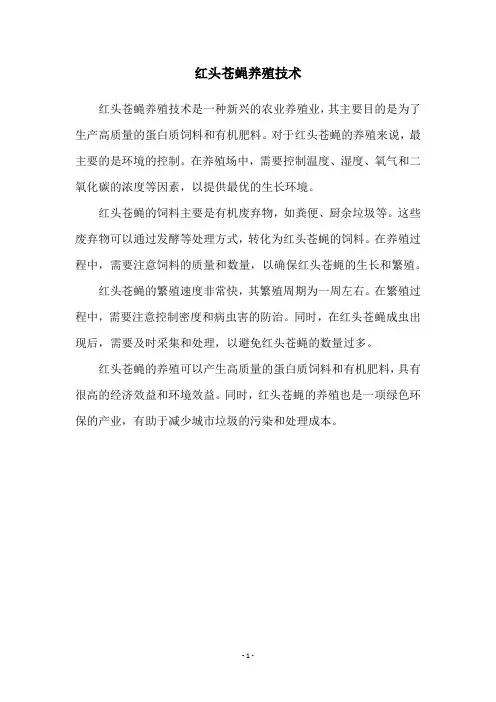红头苍蝇养殖技术