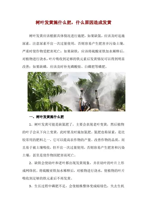 树叶发黄施什么肥,什么原因造成发黄