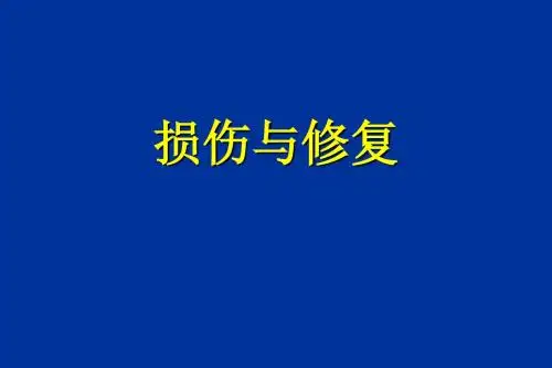 损伤与修复-