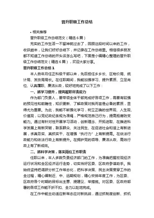 晋升职级工作总结