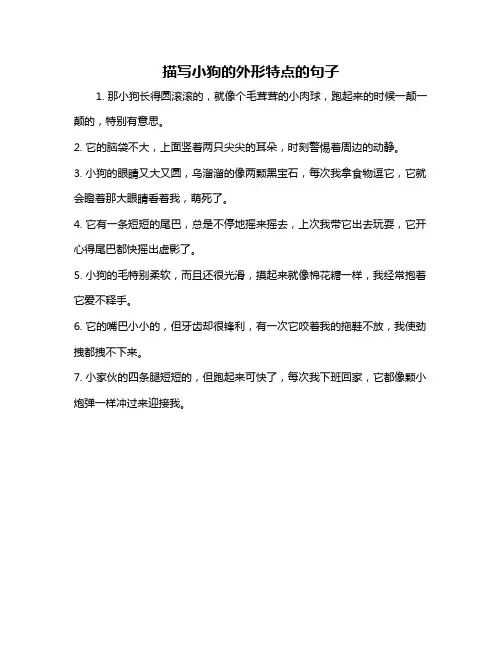 描写小狗的外形特点的句子