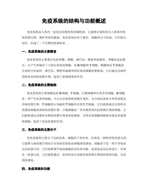 免疫系统的结构与功能概述