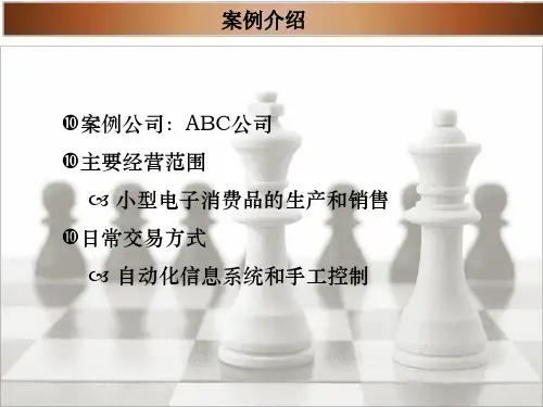 ABC公司案例分析