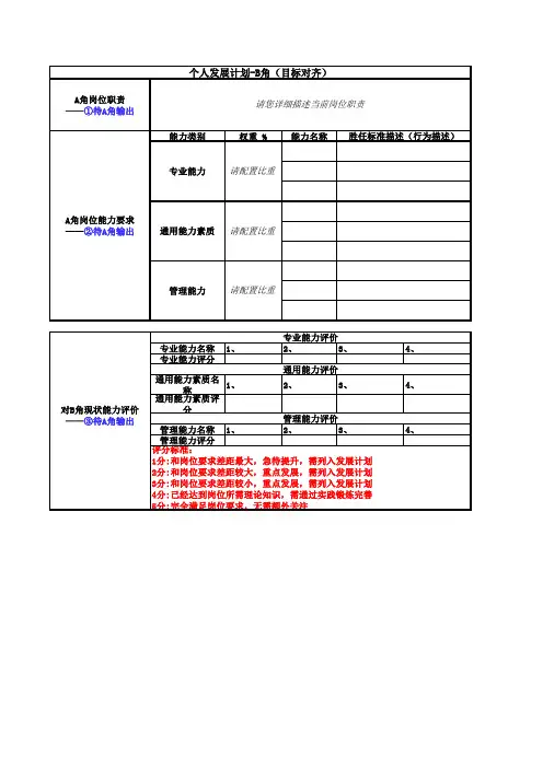 IDP个人发展培养计划