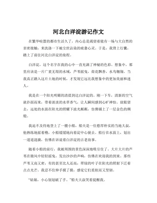河北白洋淀游记作文