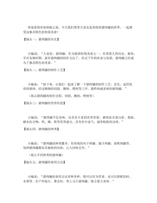 介绍猪肉脯的短视频文案